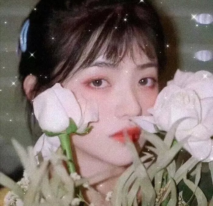 苦茶香